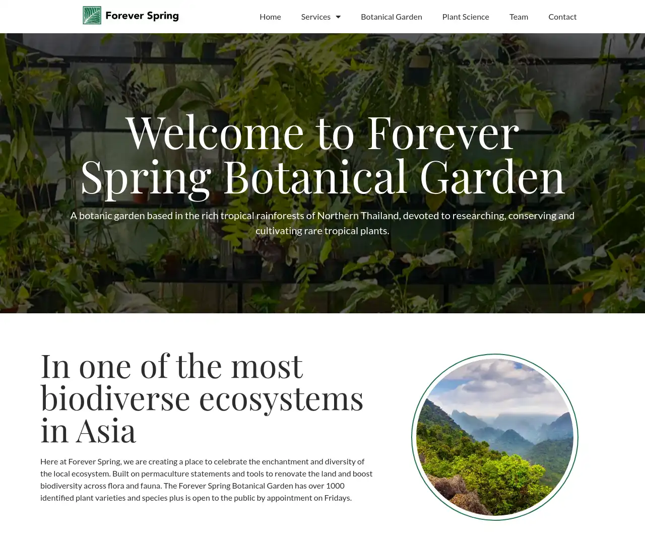 Forever Spring Garden